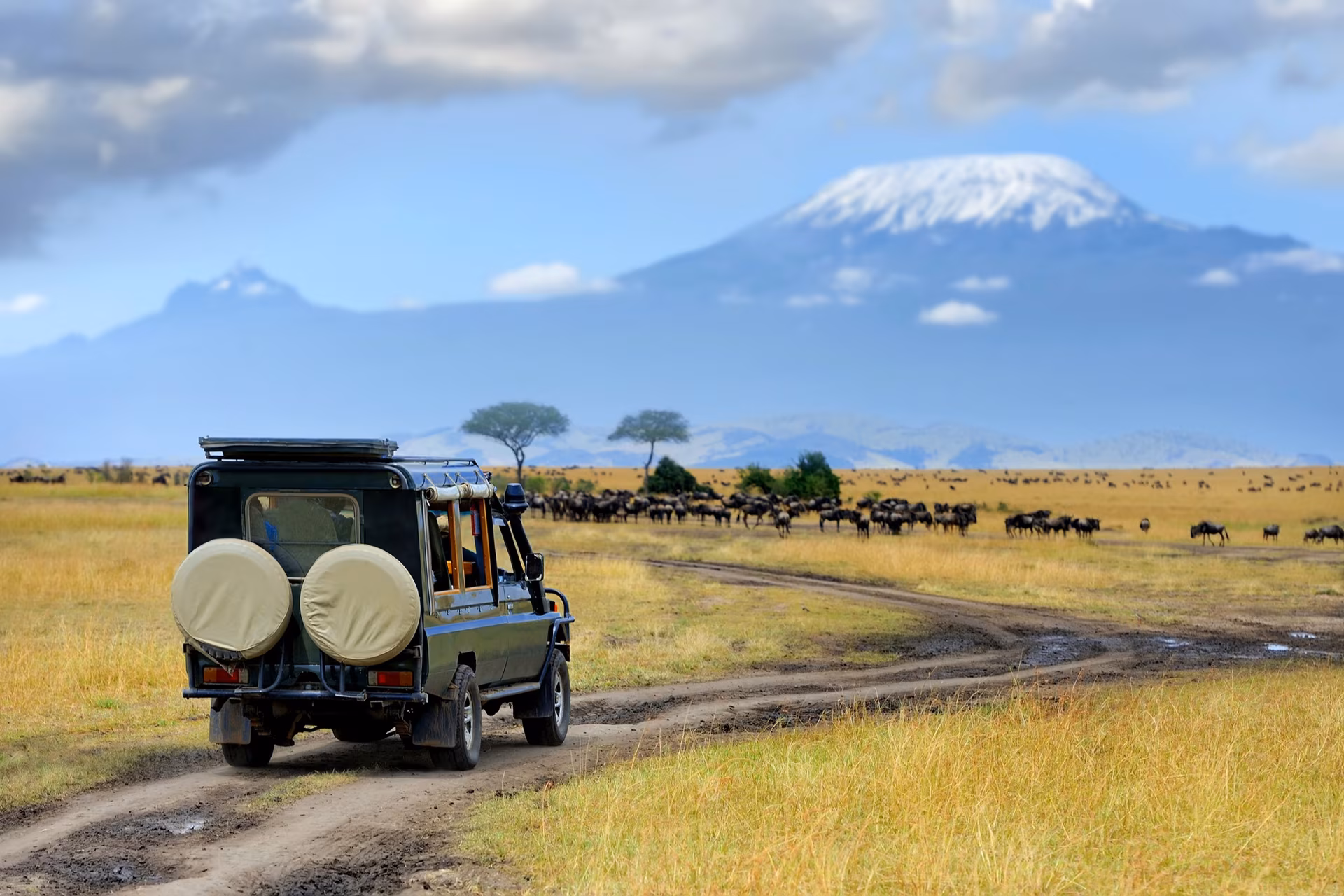 Safaris em Lodge