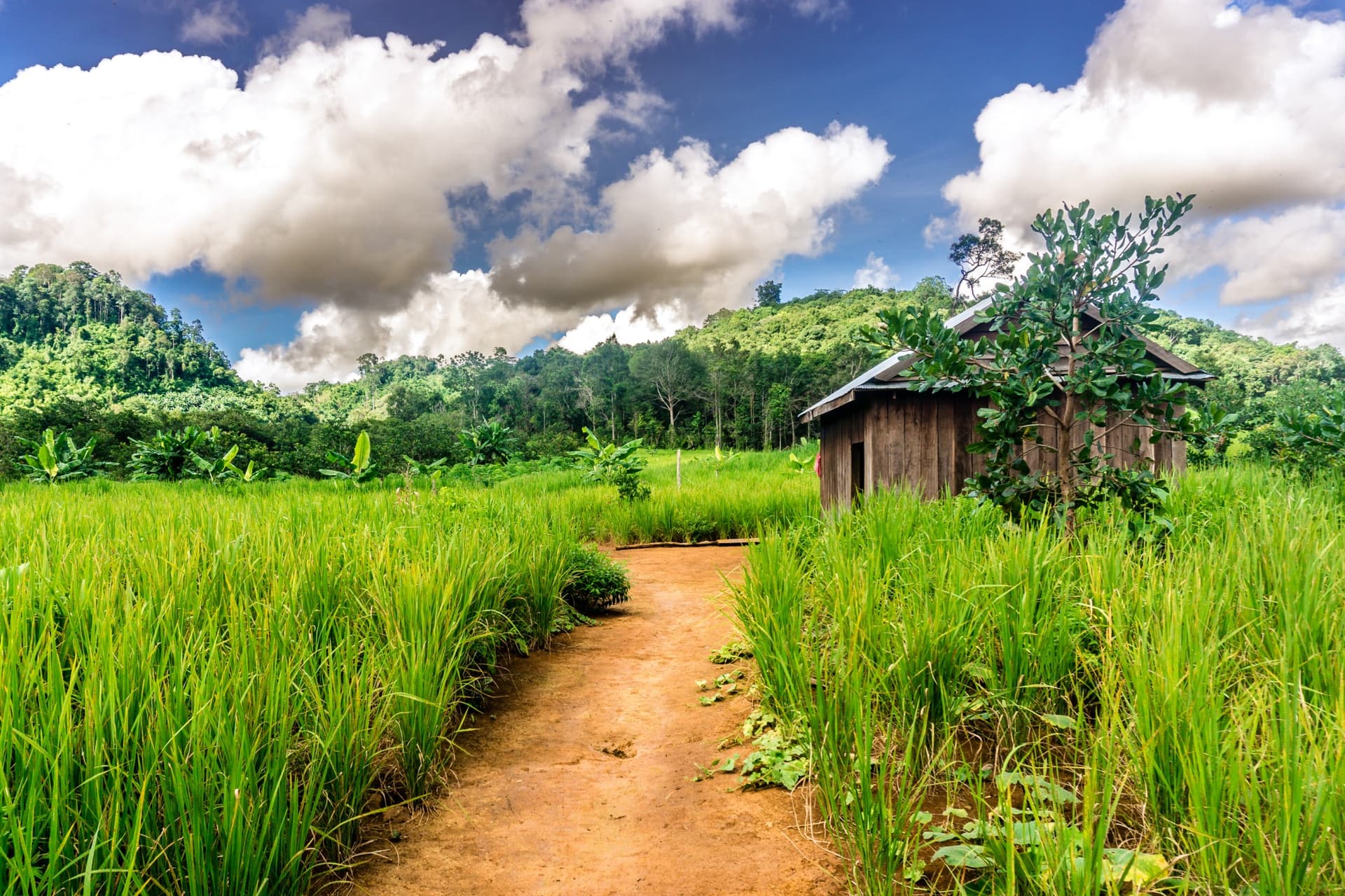 A Província de Mondulkiri