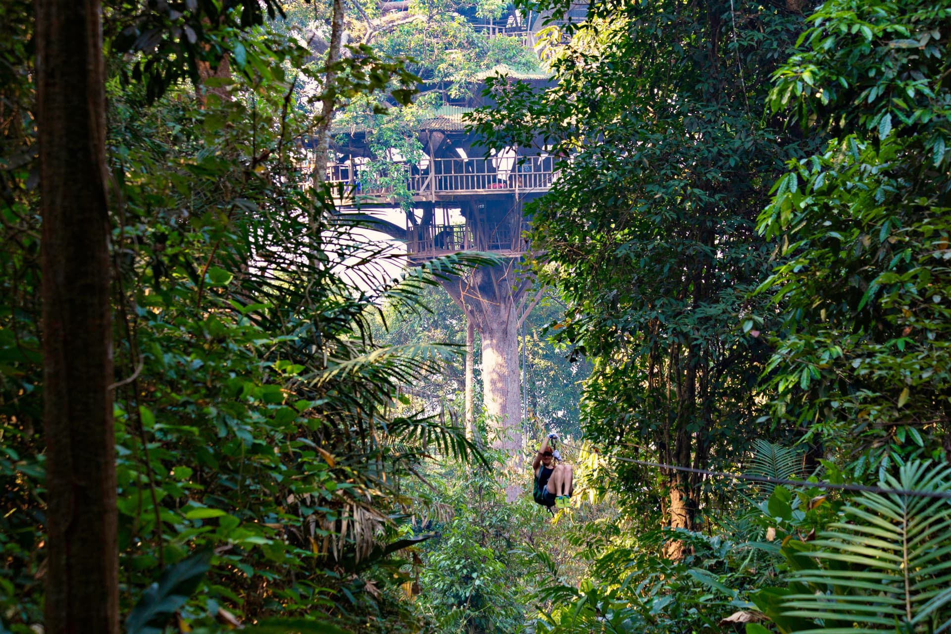 Gibbon Experiência